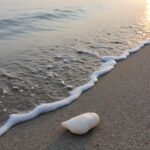 découvrez pourquoi la robe vert sauge est la tendance incontournable de 2025, alliant élégance, fraîcheur et modernité pour toutes les occasions.